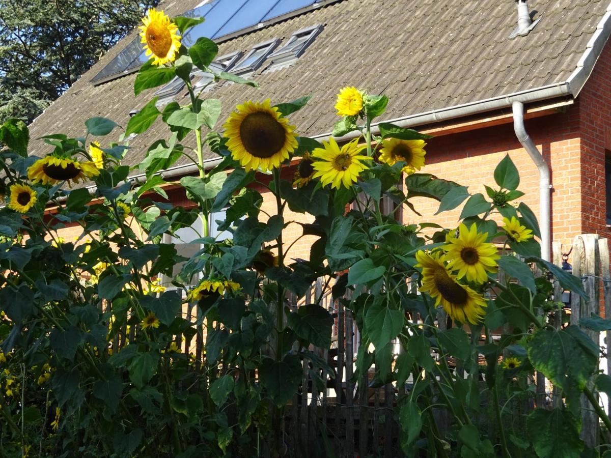 Peanuts Hostel & Meer Surendorf المظهر الخارجي الصورة