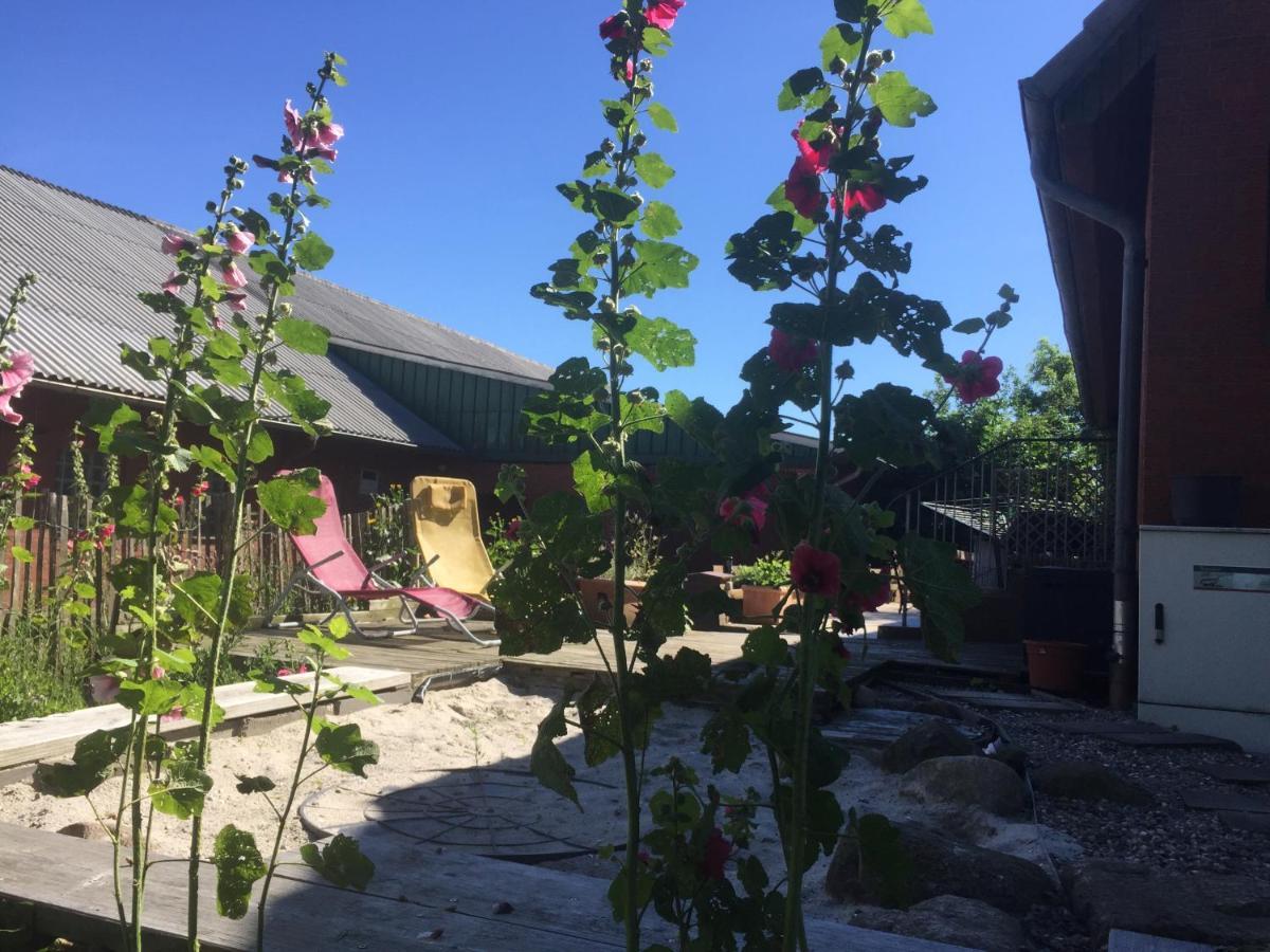 Peanuts Hostel & Meer Surendorf المظهر الخارجي الصورة